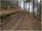 Spodnja Rečica - Gozdnik